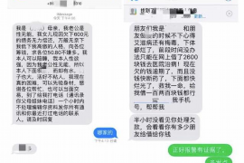 红河为什么选择专业追讨公司来处理您的债务纠纷？