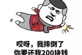 红河红河讨债公司服务